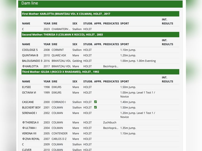 Caballo de Holstein Semental 3 años 166 cm Castaño in Bargenstedt