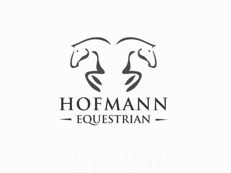 Caballo de salto Oldenburgo Yegua 6 años 165 cm Alazán in Nettetal