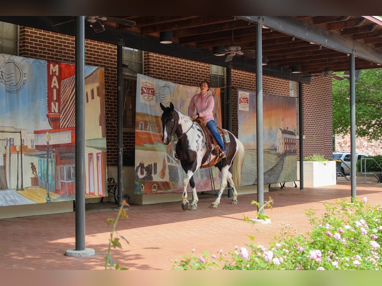 Caballo de silla manchada Caballo castrado 12 años 165 cm Tobiano-todas las-capas in Rusk TX