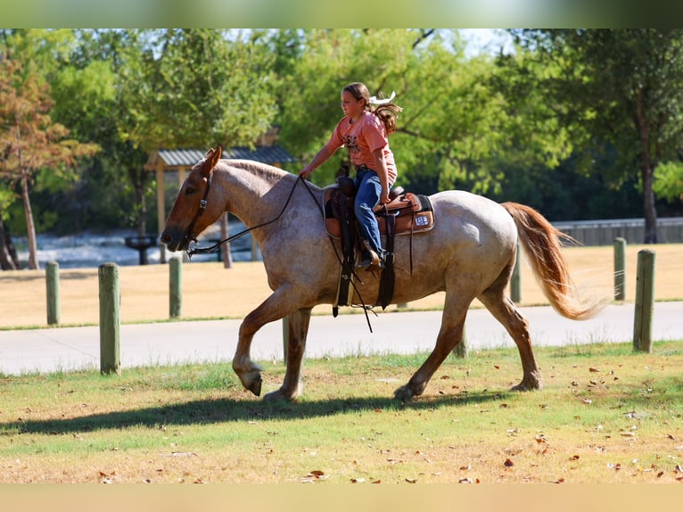caballo de tiro Mestizo Caballo castrado 11 años Ruano alazán in Terrell