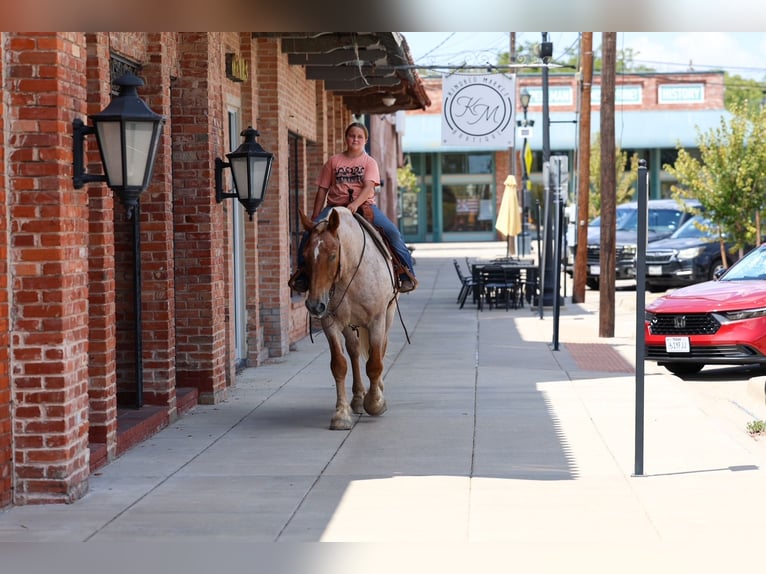 caballo de tiro Mestizo Caballo castrado 11 años Ruano alazán in Terrell