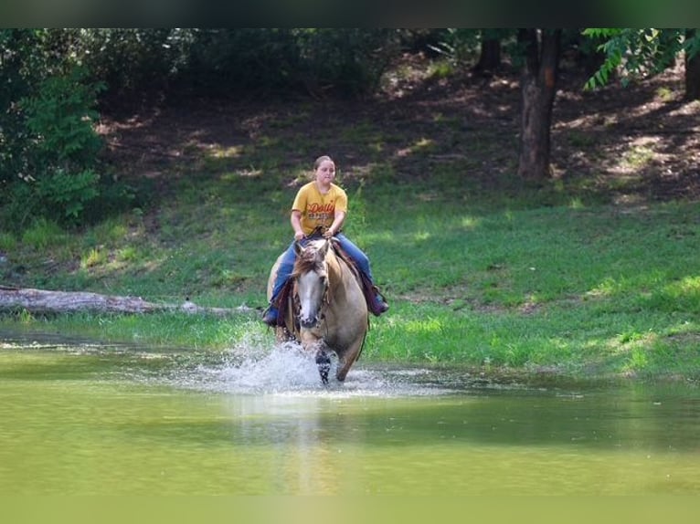 caballo de tiro Mestizo Caballo castrado 15 años Buckskin/Bayo in Terrell