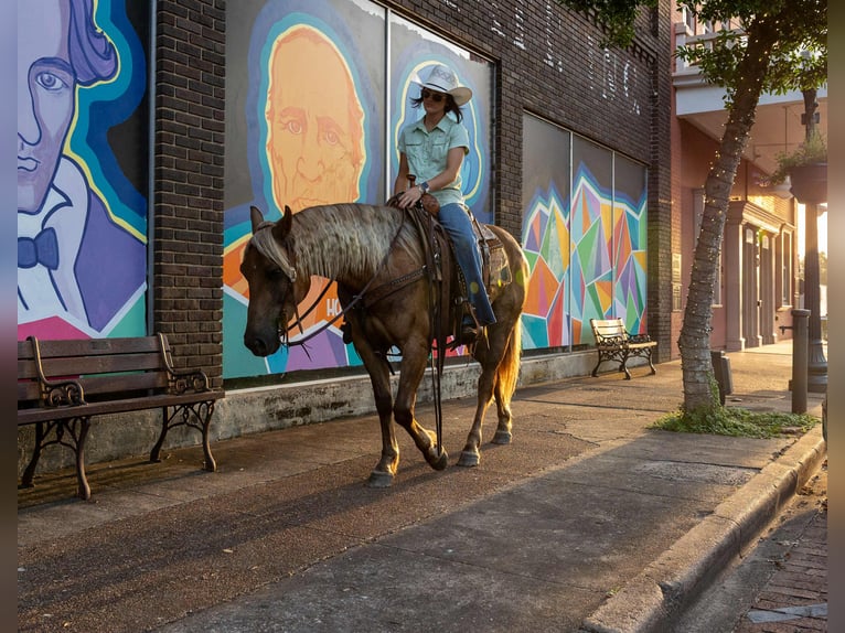caballo de tiro Caballo castrado 4 años 150 cm Castaño in Rusk TX