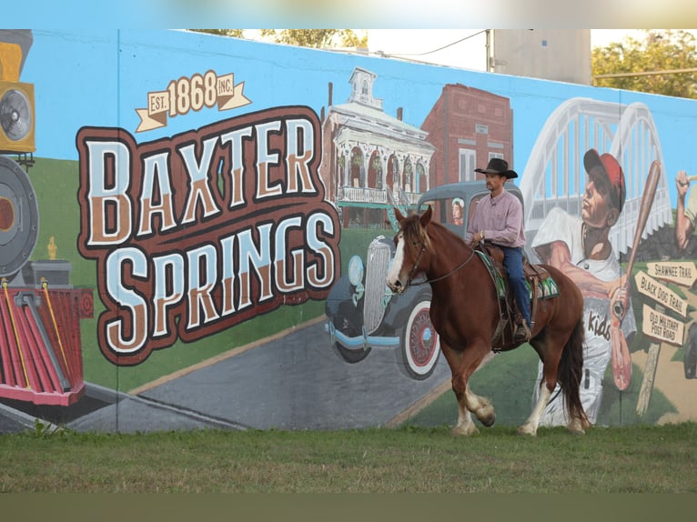 caballo de tiro Mestizo Caballo castrado 4 años Alazán-tostado in Baxter Springs