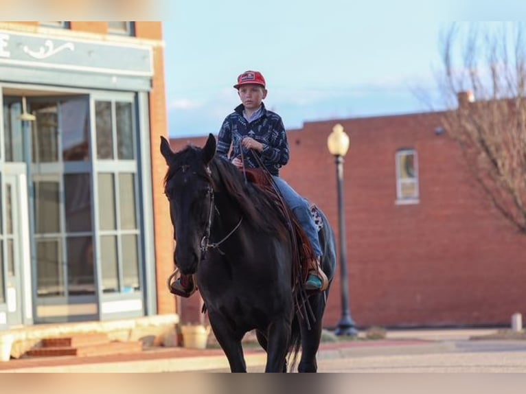 caballo de tiro Mestizo Caballo castrado 4 años Negro in Ripley