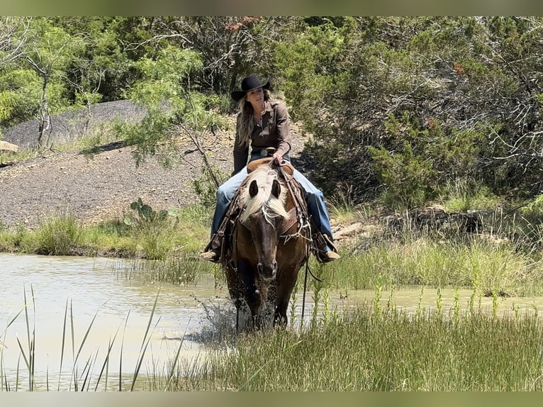 caballo de tiro Mestizo Caballo castrado 9 años  in Weatherford