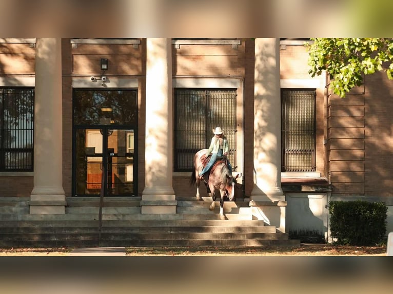 caballo de tiro Mestizo Yegua 4 años 152 cm Castaño-ruano in Quitman caballo de tiro Mestizo Yegua 4 años 152 cm Castaño-ruano in Quitman