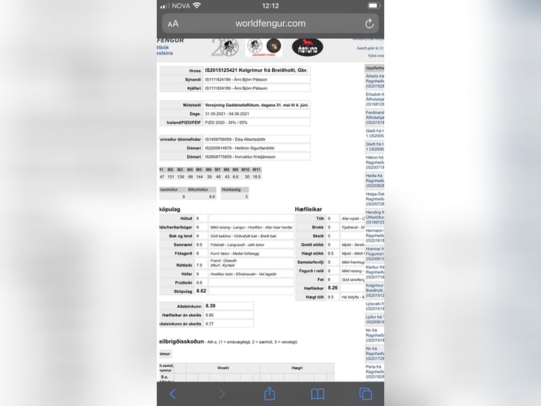 Caballos islandeses Caballo castrado 6 años 135 cm Negro in Selfoss