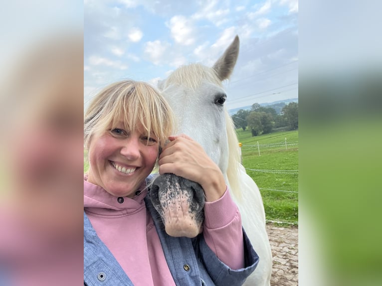 Camargue Giumenta 12 Anni 148 cm Bianco in Buchenberg