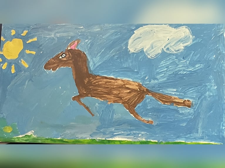 Cavallo da sella tedesco Giumenta 8 Anni 168 cm Morello in Meißenheim