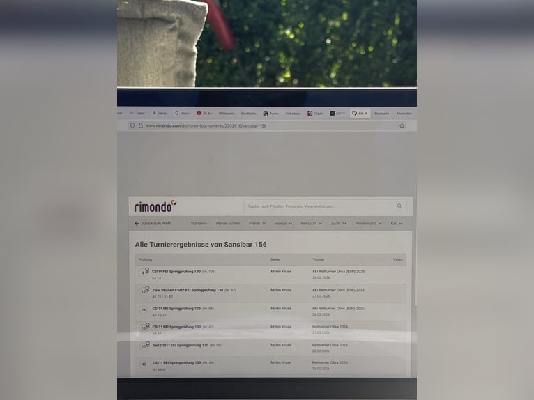 Cheval de selle allemand Jument 7 Ans 165 cm Bai in Uedem