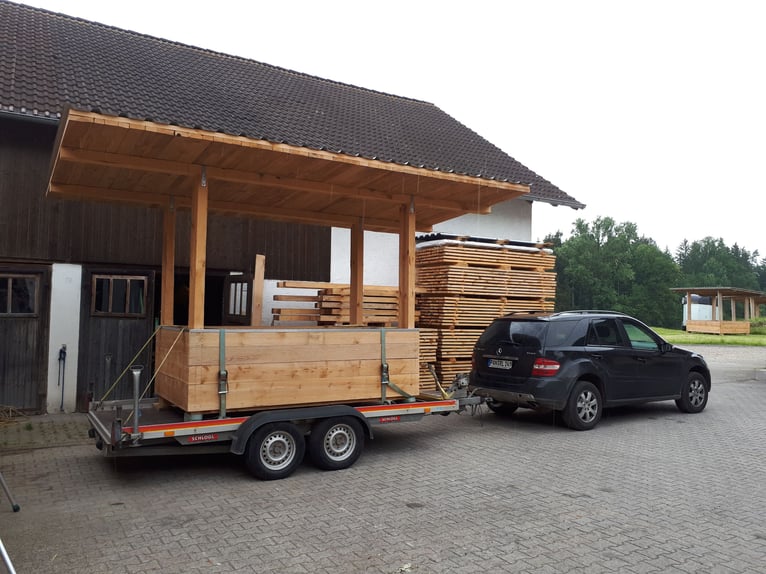 Cheval de sport allemand Jument 11 Ans Noir in Postmünster