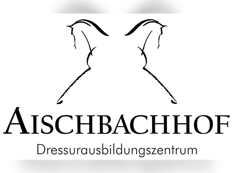 Cheval de sport allemand Jument 5 Ans 169 cm Bai in Herrenberg