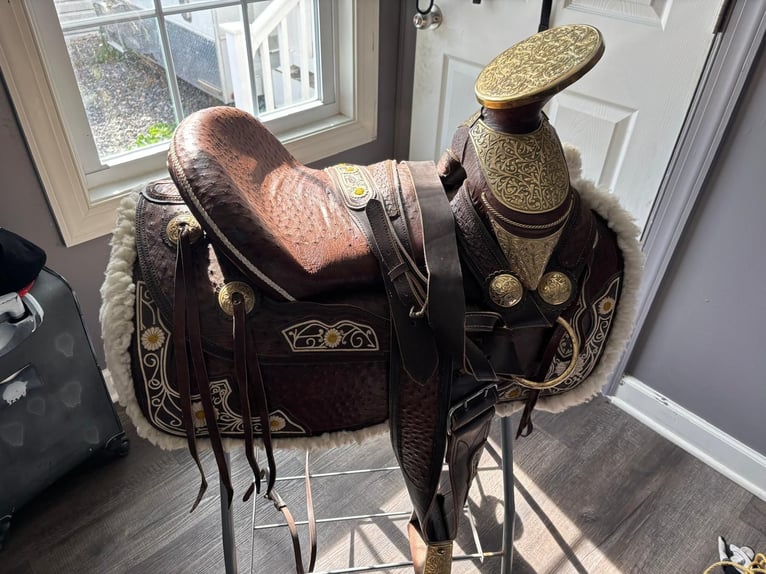 Cheval de sport espagnol Jument 9 Ans 155 cm Peut devenir gris in Laurel, MD