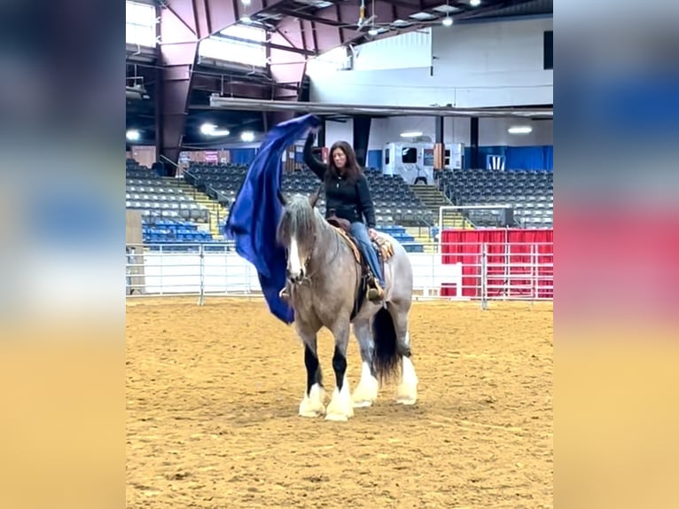 Cheval de trait Hongre 10 Ans 175 cm Roan-Bay in Auburn KY