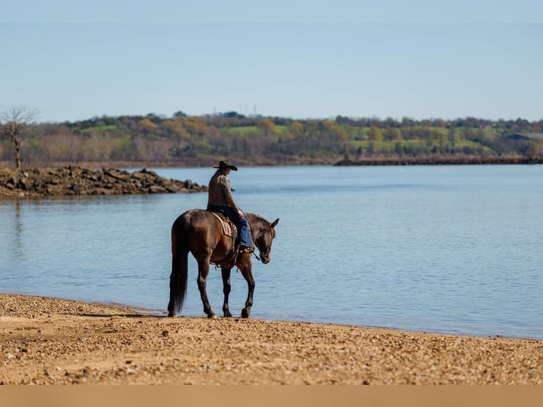 Cheval de trait Croisé Hongre 11 Ans 178 cm Roan-Bay in Quitman