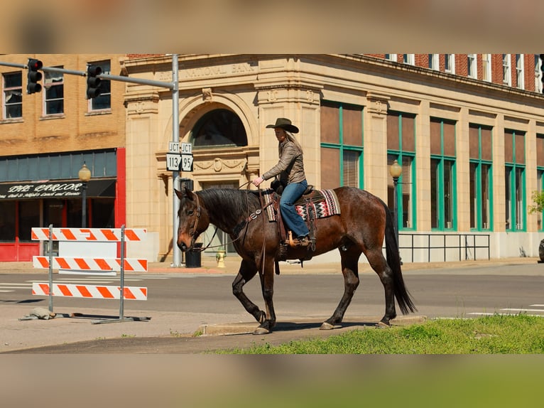 Cheval de trait Croisé Hongre 11 Ans 178 cm Roan-Bay in Quitman