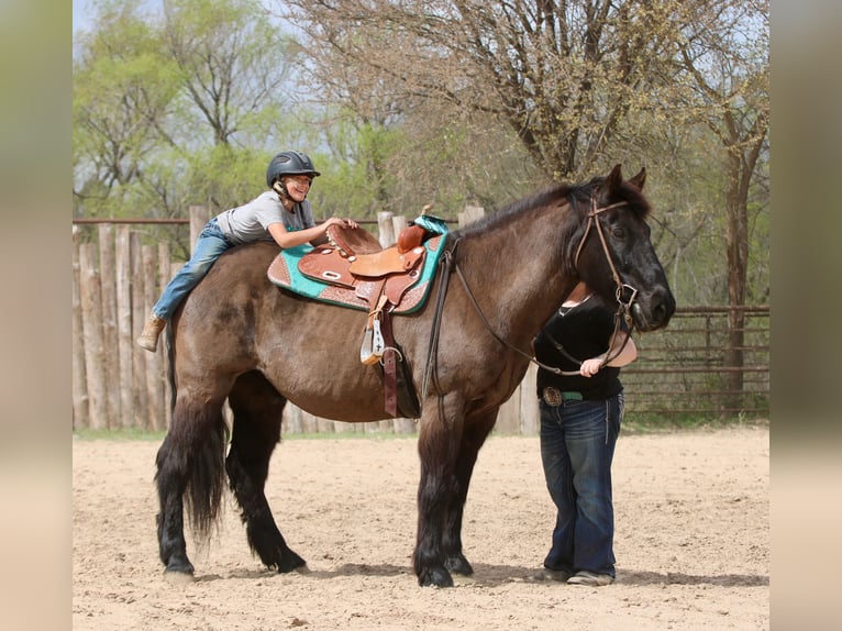 Cheval de trait Croisé Hongre 14 Ans 160 cm Noir in Athens