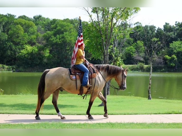 Cheval de trait Croisé Hongre 15 Ans Buckskin in Terrell