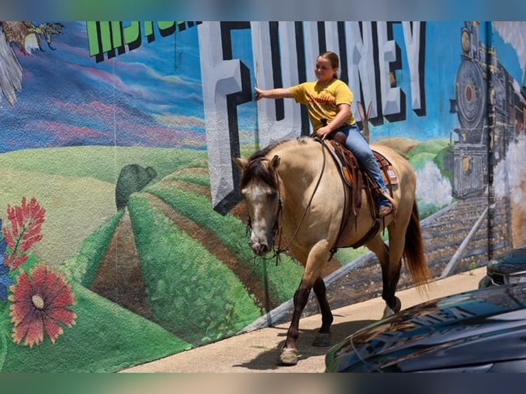 Cheval de trait Croisé Hongre 15 Ans Buckskin in Terrell