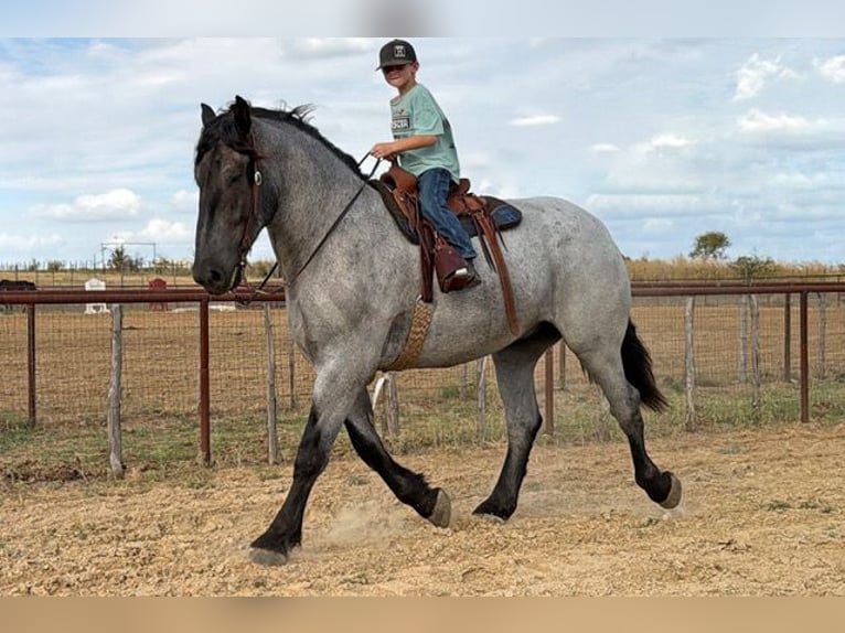 Cheval de trait Croisé Hongre 3 Ans 173 cm Rouan Bleu in Weatherford