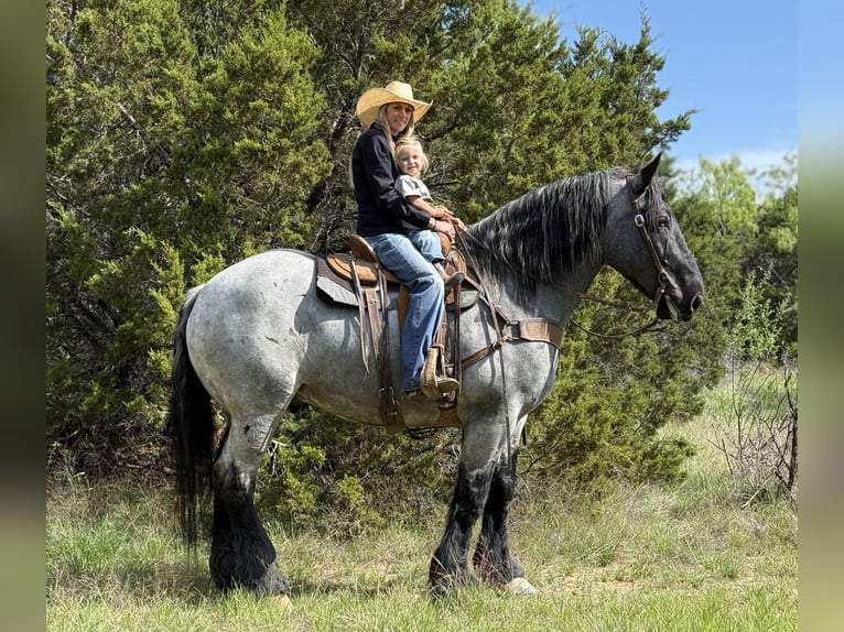 Cheval de trait Croisé Hongre 7 Ans 173 cm Rouan Bleu in Weatherford