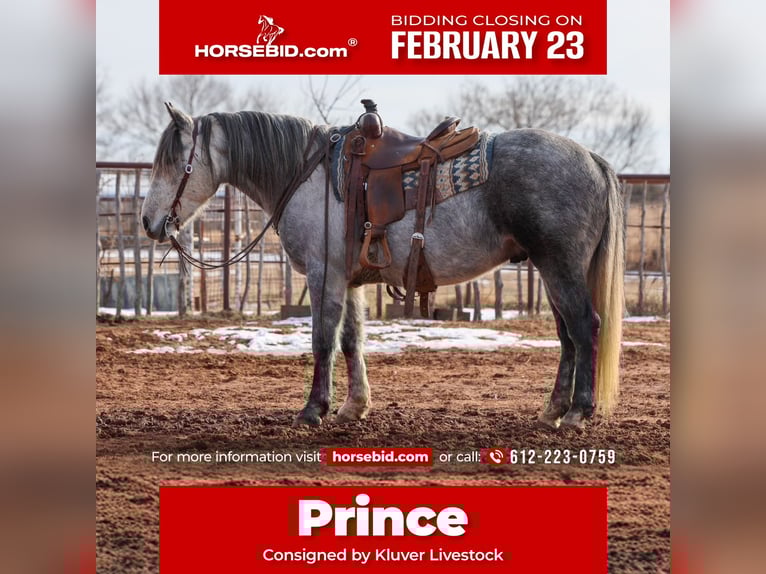 Cheval de trait Hongre 8 Ans 150 cm Gris in Ripley