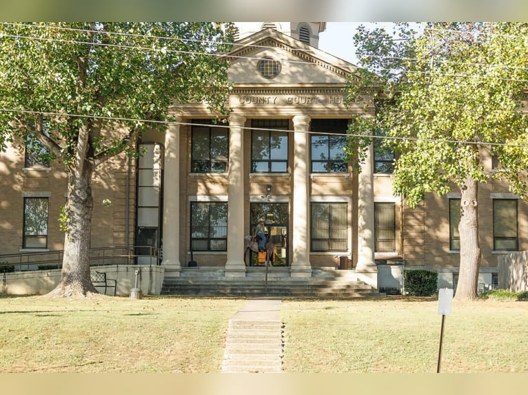 Cheval de trait Croisé Jument 4 Ans 152 cm Roan-Bay in Quitman Cheval de trait Croisé Jument 4 Ans 152 cm Roan-Bay in Quitman