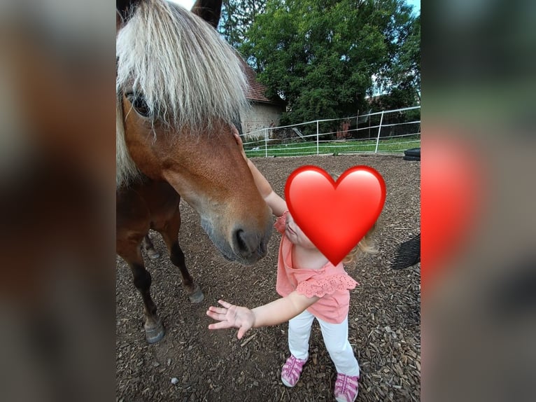 Classic Pony Castrone 11 Anni 110 cm Sauro in Weigenheim