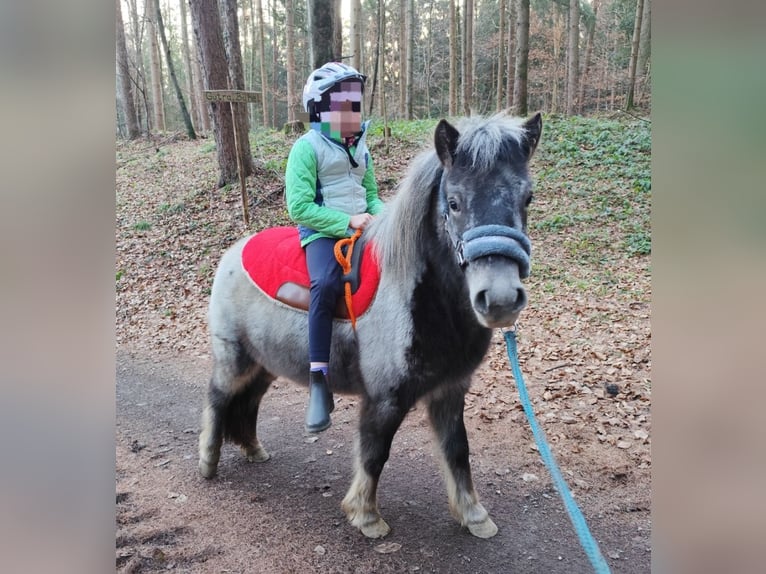 Classic Pony Mix Giumenta 3 Anni 115 cm Leopard in Fraxern