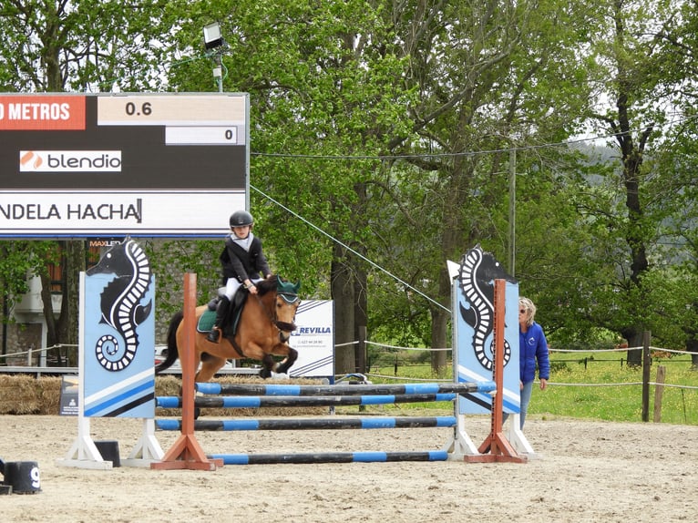 Classic Pony Merrie 20 Jaar 130 cm Falbe in Elechas