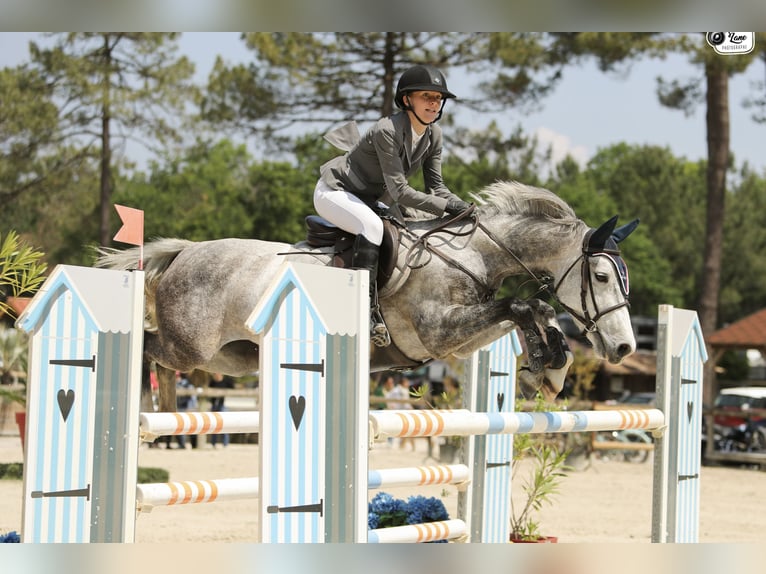 Classic Pony Merrie 8 Jaar 148 cm Schimmel in Boisredon