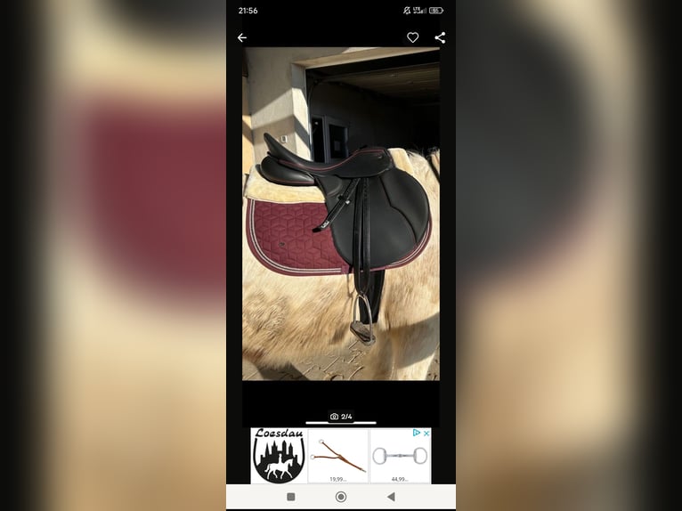 Kieffer saddle, like new, 17 inches