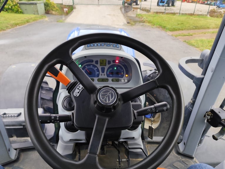 LKW Pferde