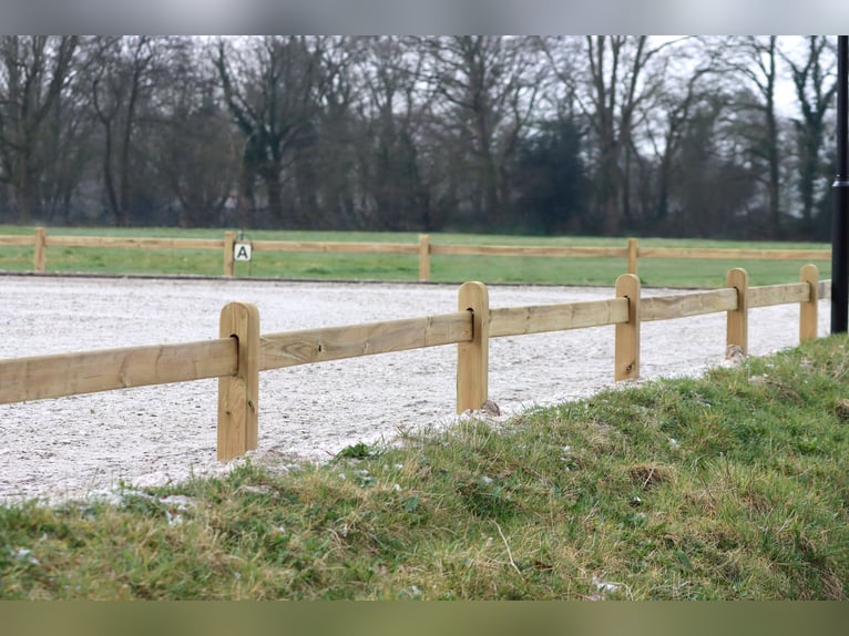 Dressage arena | Wooden arena fencing | Dressage square