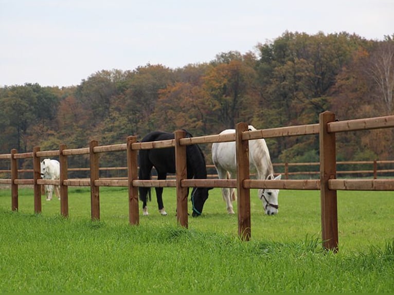 Fence for Garden | Wooden Fence | Garden Fence Made of Wood | Wooden Garden Fence