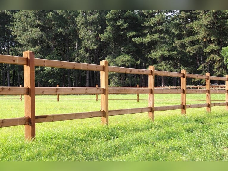 Fence for Garden | Wooden Fence | Garden Wooden Fence | Wooden Garden Fence