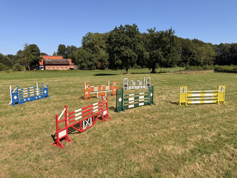 Show jumping course, jump stands, oxer, jump poles, cups, and more.