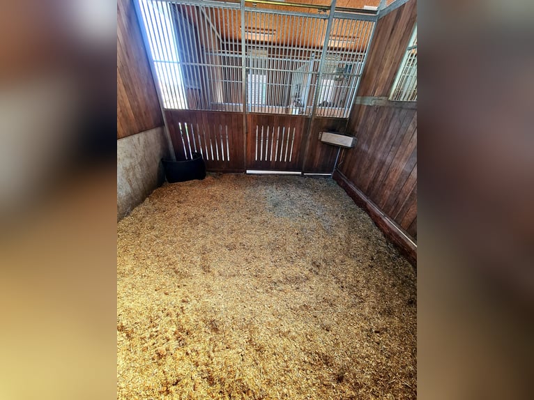 Regional straw pellets bedding pellets straw cobs premix pellets structural pellets pellets in big b