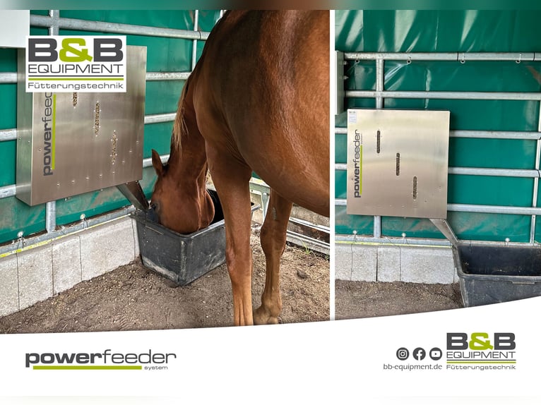 New time-controlled concentrate feeder – Standard feed – Senior – Alfalfa – Molasses