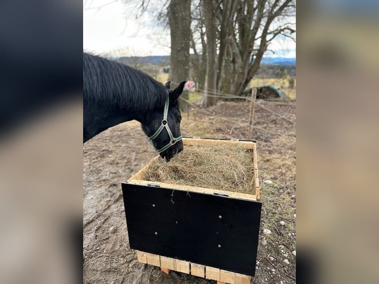 Hay rack with or without lid