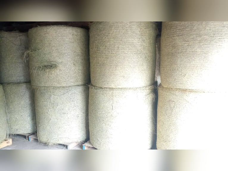 Hay hay round bales horse hay organic hay hay bales meadow hay