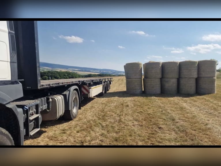 Hay round bales, first cut 2026 – Delivery to Switzerland