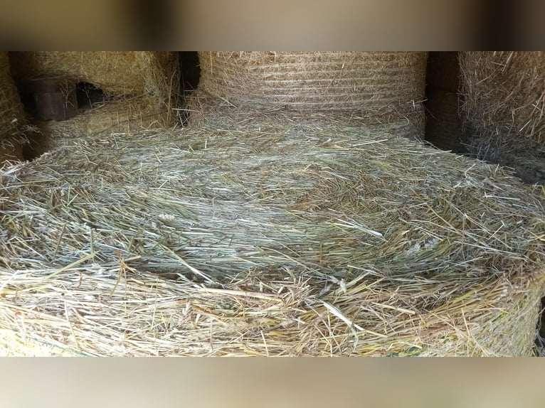 Hay round bales, hay bales, round bale hay, hay bale transport