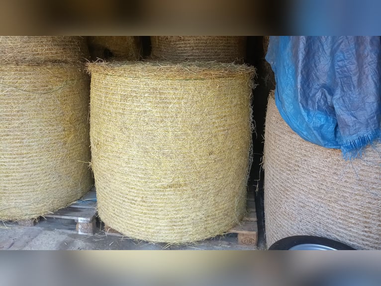 Hay round bales, hay bales, round bale hay, hay bale transport