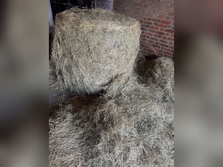 Hay, silage, and wrapping hay – premium feed from our own boarding stable