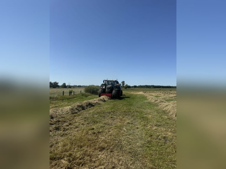 Hay, silage, and wrapping hay – premium feed from our own boarding stable