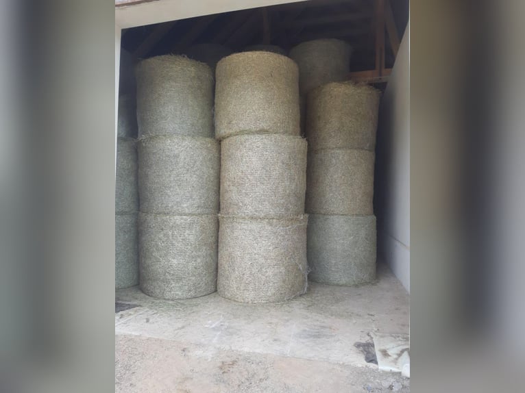 Hay – Straw – Silage Bales – Alfalfa