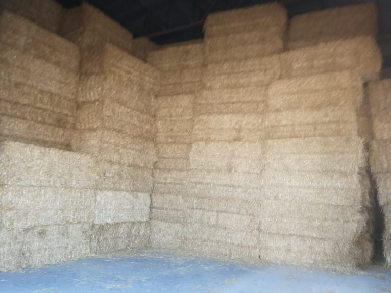 Hay – Straw – Silage Bales – Alfalfa