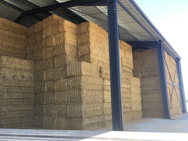 Meadow hay